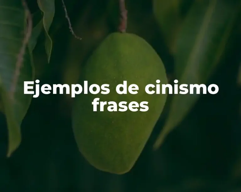 Ejemplos de cinismo frases