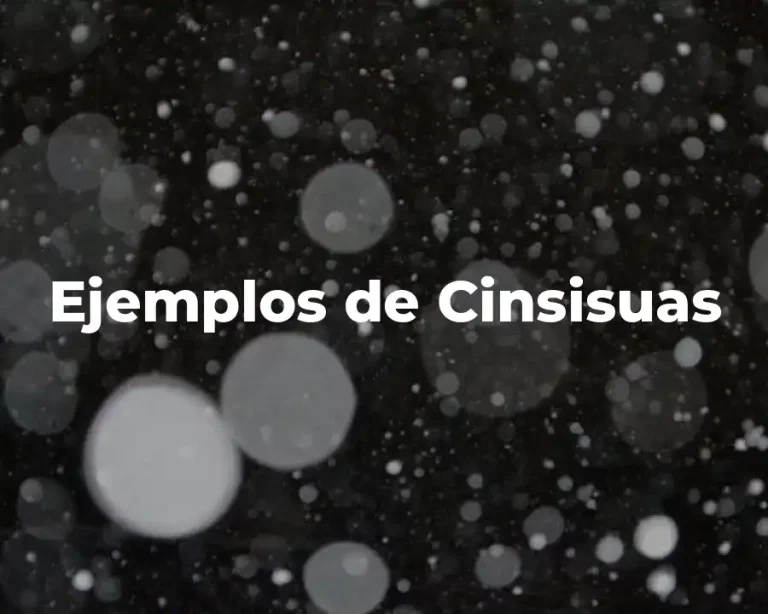 Ejemplos de Cinsisuas