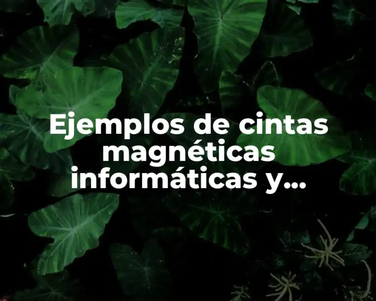 Ejemplos de cintas magnéticas informáticas y Significado