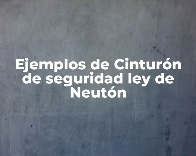 Ejemplos de Cinturón de seguridad ley de Neutón