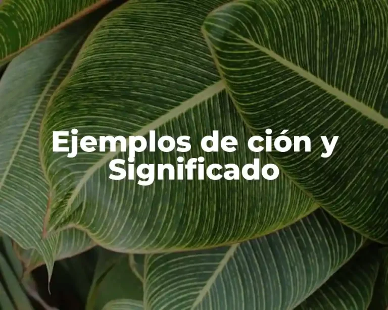 Ejemplos de ción y Significado
