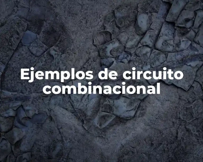 Ejemplos de circuito combinacional