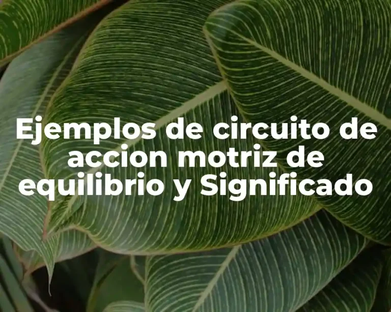 Ejemplos de circuito de accion motriz de equilibrio y Significado