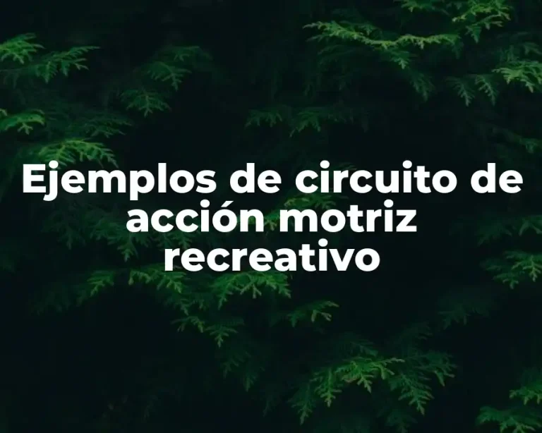 Ejemplos de circuito de acción motriz recreativo