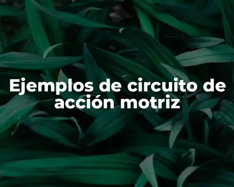 Ejemplos de circuito de acción motriz