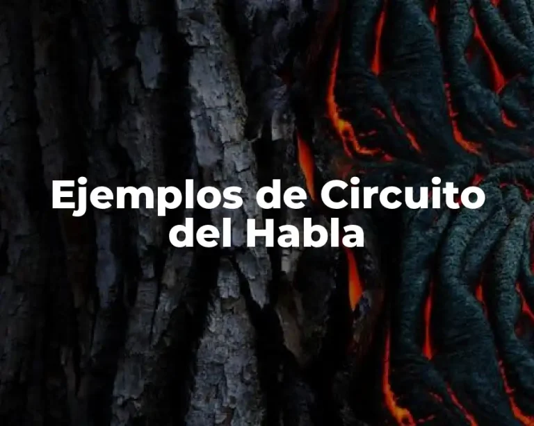 Ejemplos de Circuito del Habla