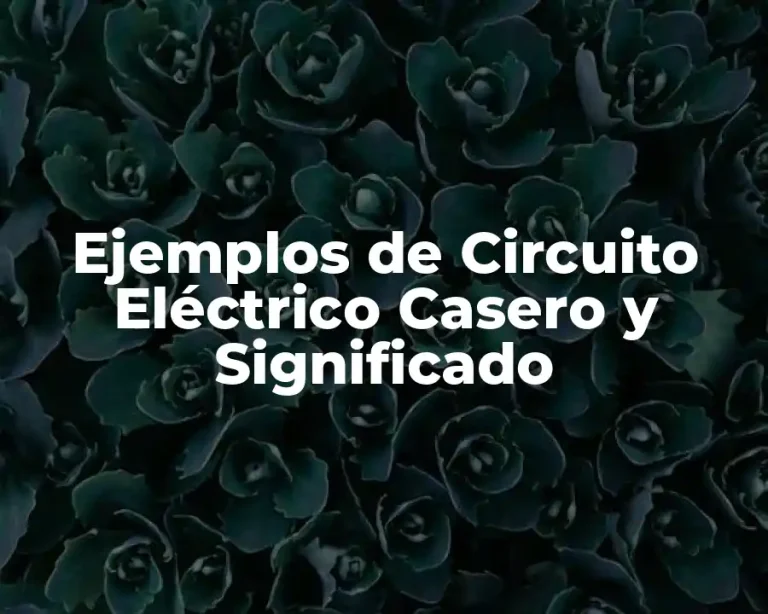 Ejemplos de Circuito Eléctrico Casero y Significado