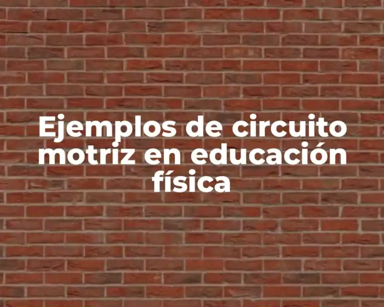 Ejemplos de circuito motriz en educación física