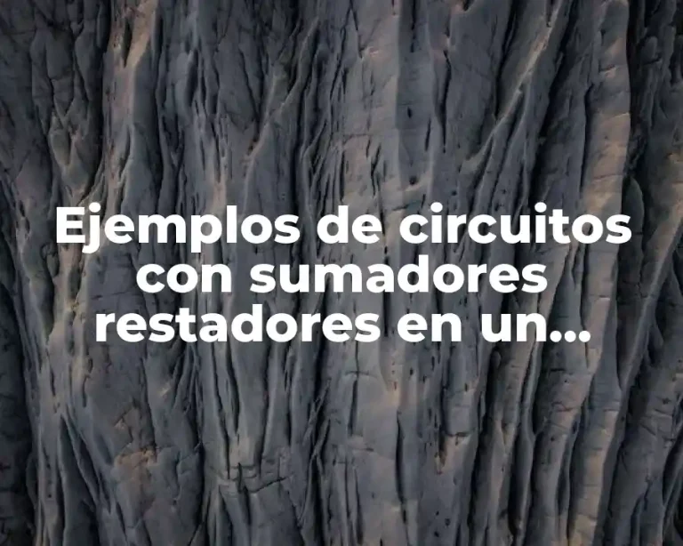 Ejemplos de circuitos con sumadores restadores en un problema y Significado