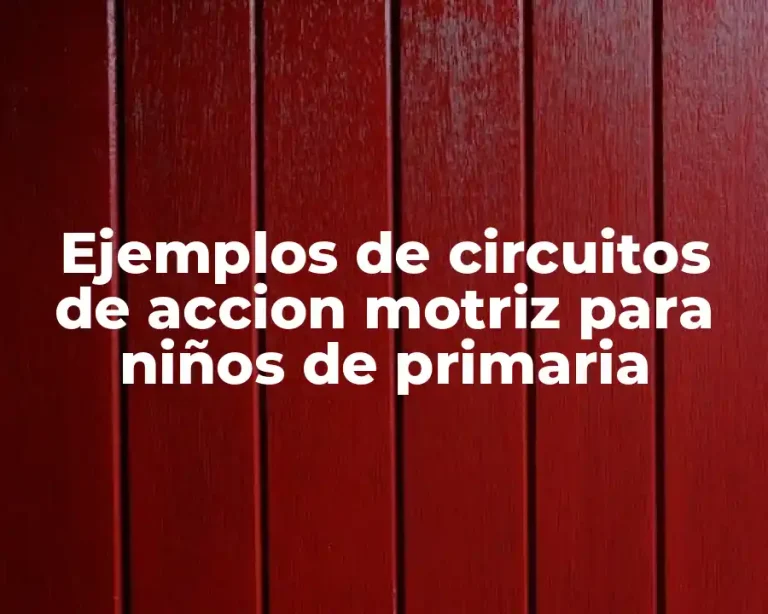 Ejemplos de circuitos de accion motriz para niños de primaria