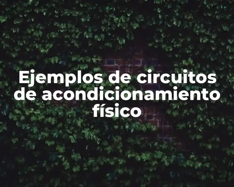 Ejemplos de circuitos de acondicionamiento físico