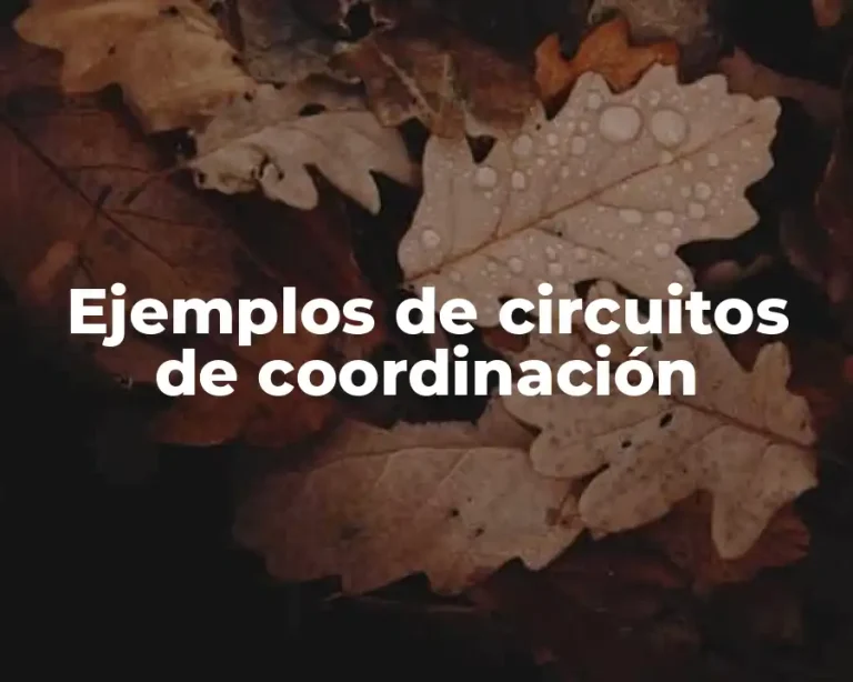 Ejemplos de circuitos de coordinación