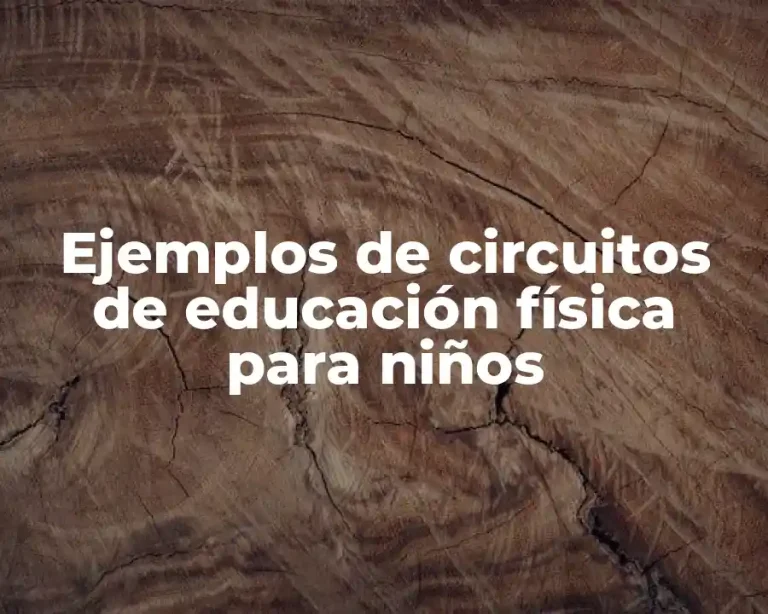 Ejemplos de circuitos de educación física para niños