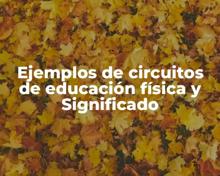 Ejemplos de circuitos de educación física y Significado