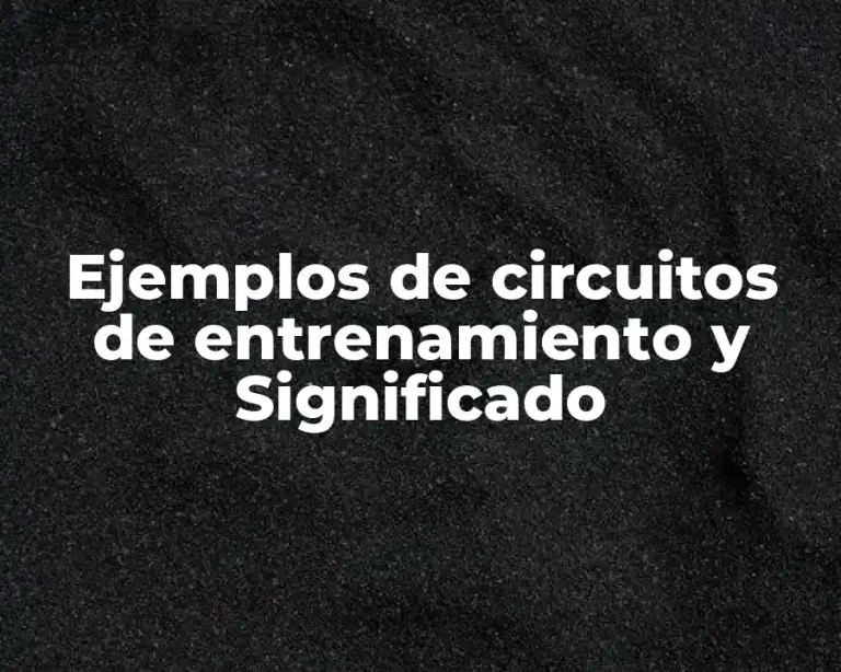 Ejemplos de circuitos de entrenamiento y Significado