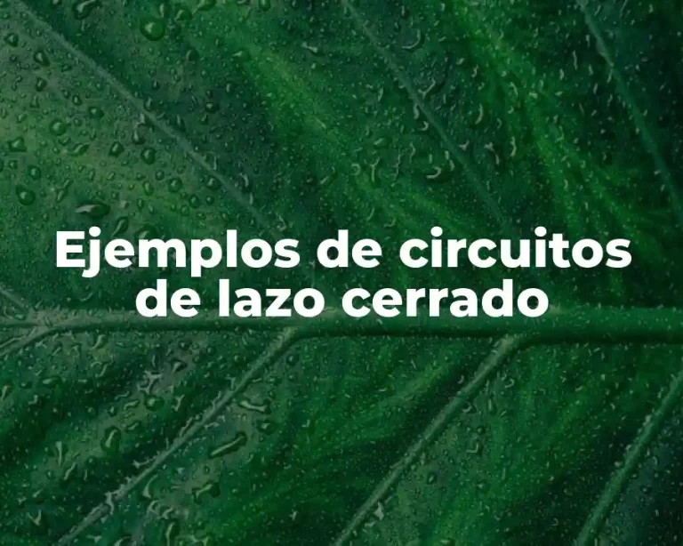 Ejemplos de circuitos de lazo cerrado