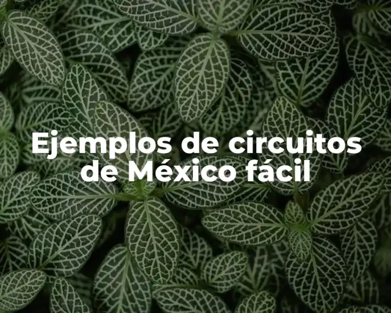 Ejemplos de circuitos de México fácil
