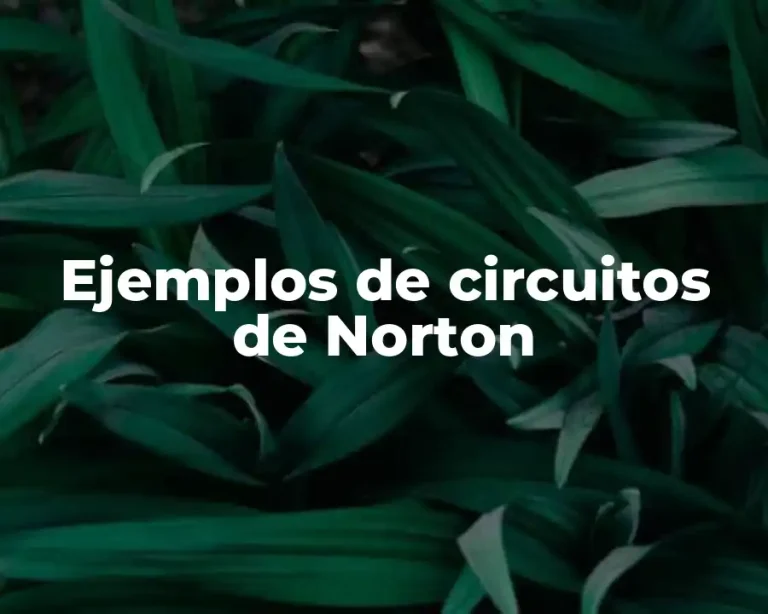 Ejemplos de circuitos de Norton