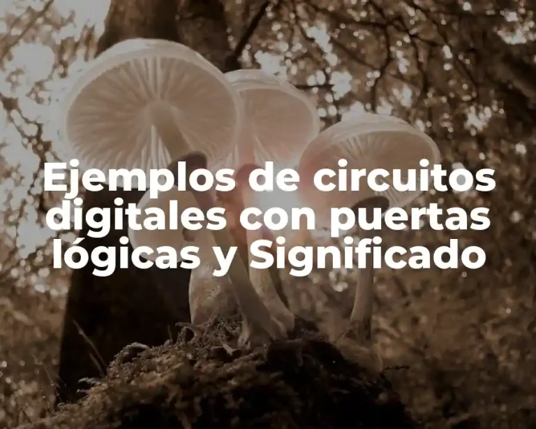 Ejemplos de circuitos digitales con puertas lógicas y Significado