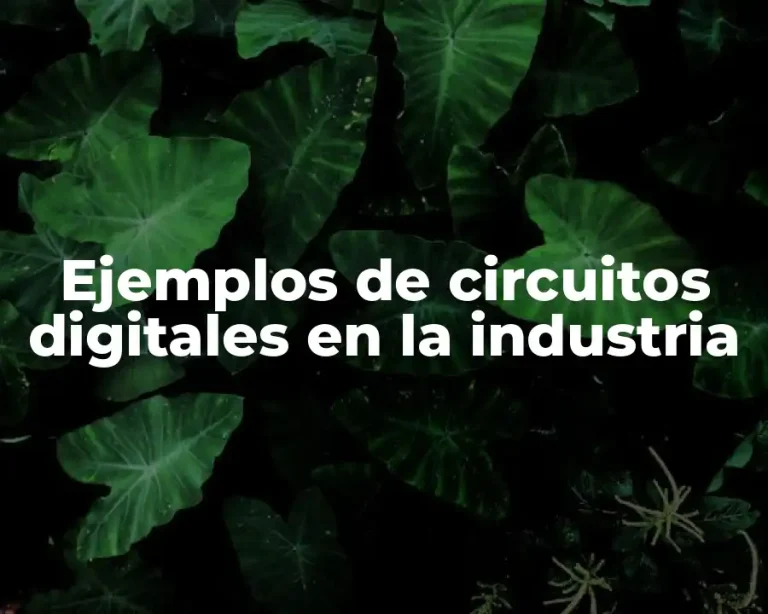 Ejemplos de circuitos digitales en la industria