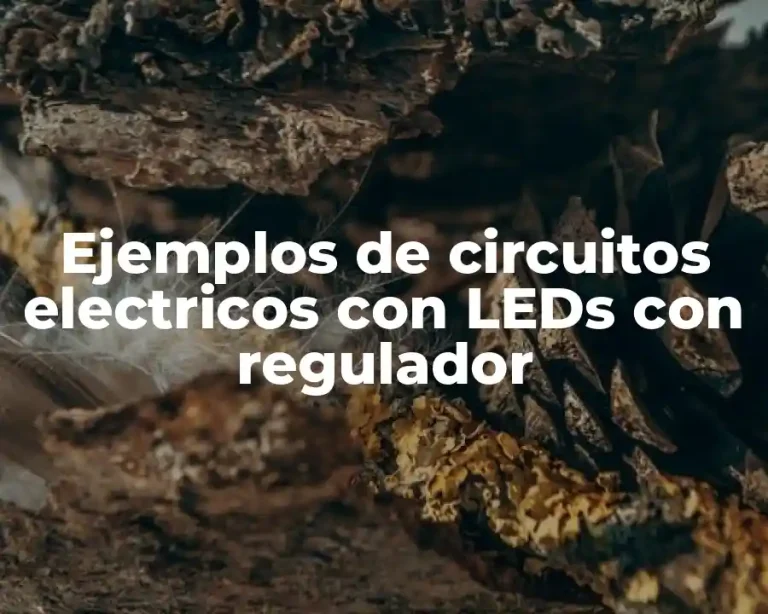 Ejemplos de circuitos electricos con LEDs con regulador
