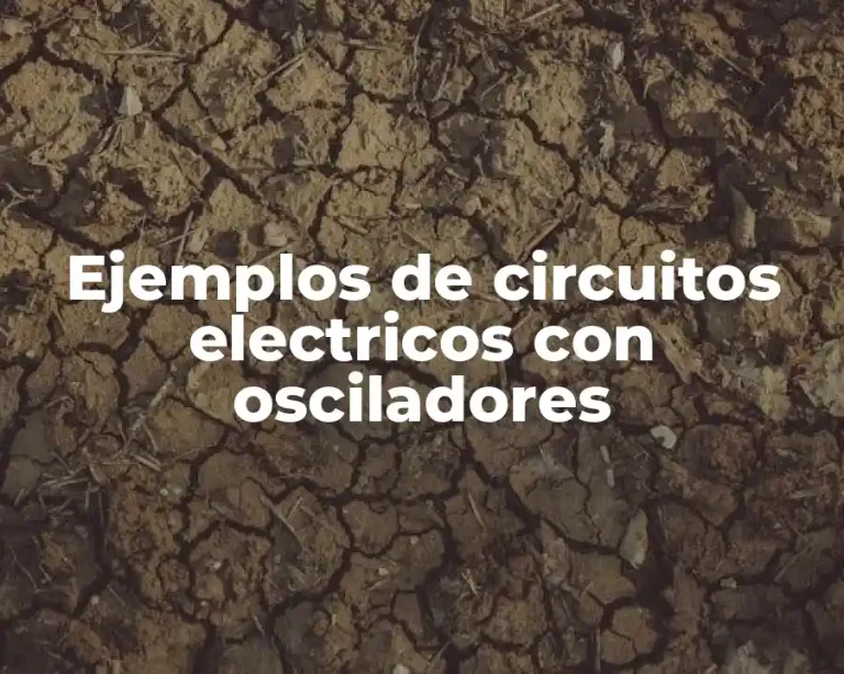 Ejemplos de circuitos electricos con osciladores