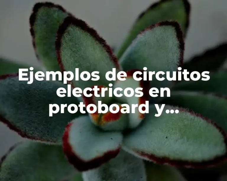Ejemplos de circuitos electricos en protoboard y Significado