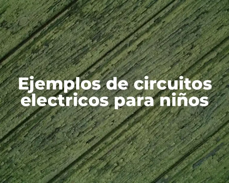 Ejemplos de circuitos electricos para niños