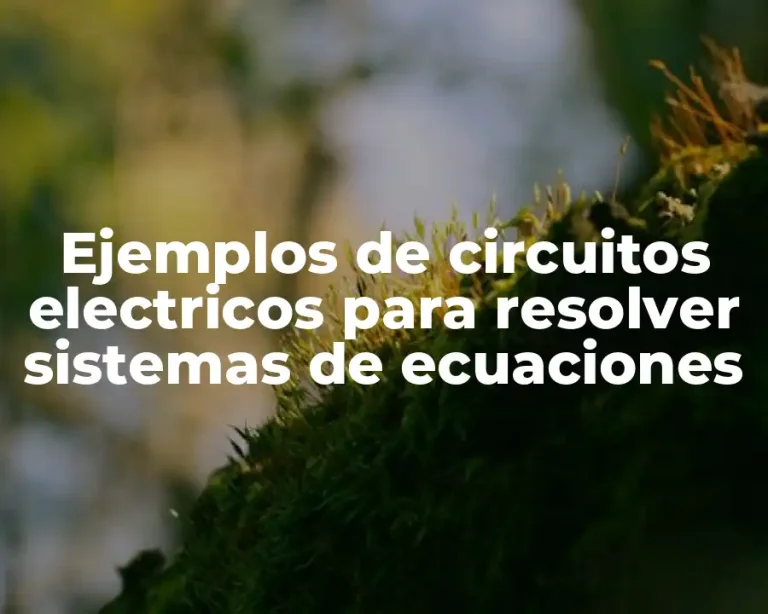 Ejemplos de circuitos electricos para resolver sistemas de ecuaciones