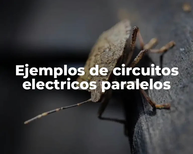 Ejemplos de circuitos electricos paralelos