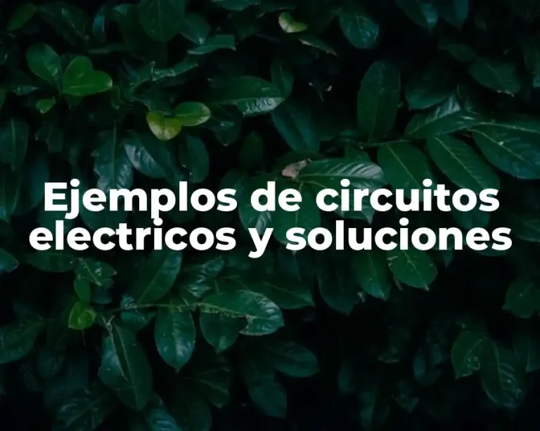Ejemplos de circuitos electricos y soluciones