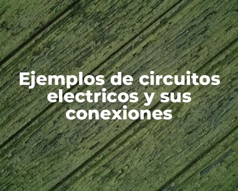 Ejemplos de circuitos electricos y sus conexiones