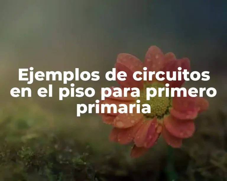 Ejemplos de circuitos en el piso para primero primaria