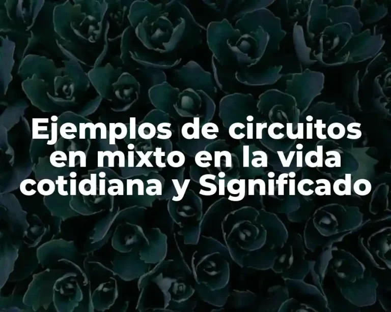 Ejemplos de circuitos en mixto en la vida cotidiana y Significado