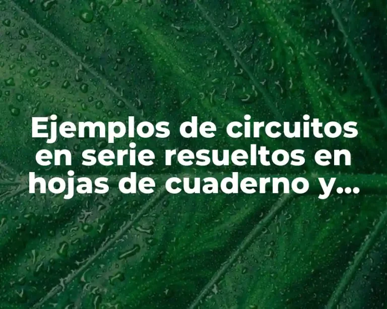 Ejemplos de circuitos en serie resueltos en hojas de cuaderno y Significado