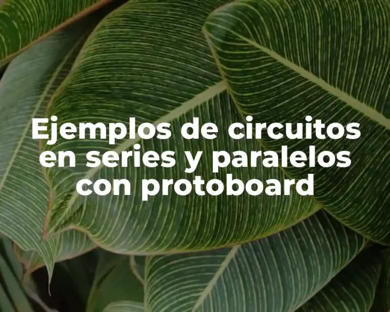Ejemplos de circuitos en series y paralelos con protoboard