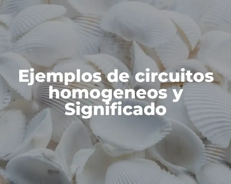 Ejemplos de circuitos homogeneos y Significado