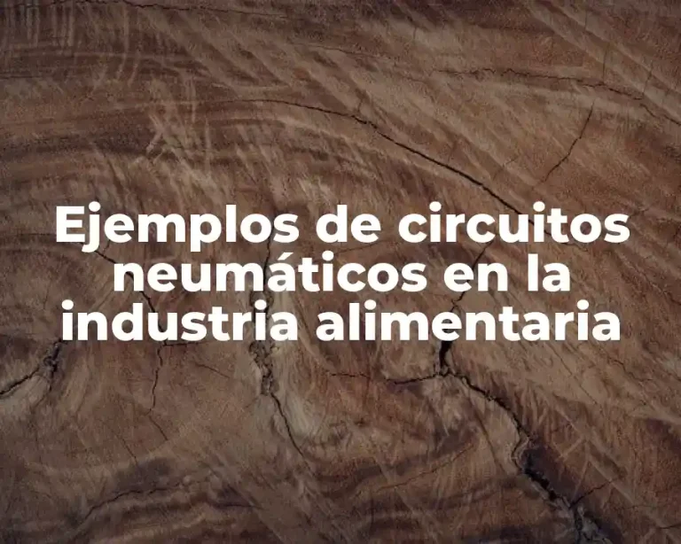 Ejemplos de circuitos neumáticos en la industria alimentaria