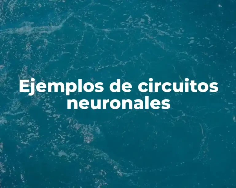 Ejemplos de circuitos neuronales