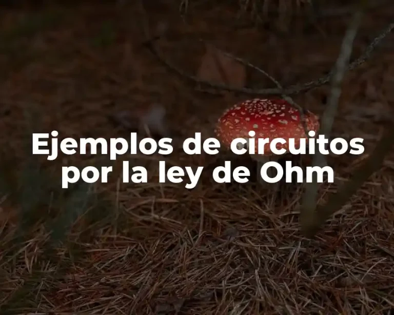 Ejemplos de circuitos por la ley de Ohm
