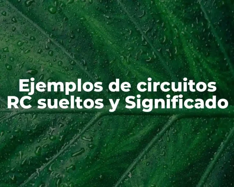 Ejemplos de circuitos RC sueltos y Significado