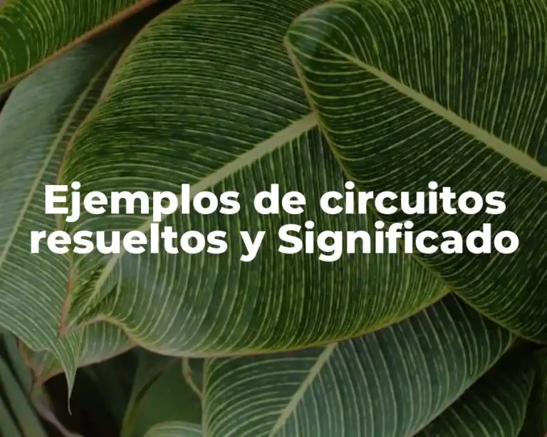 Ejemplos de circuitos resueltos y Significado