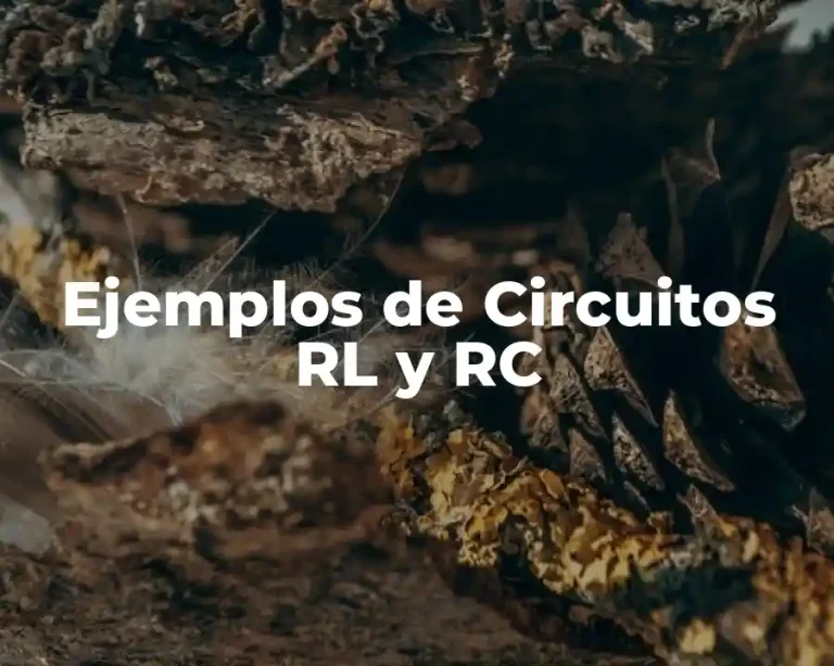 Ejemplos de Circuitos RL y RC