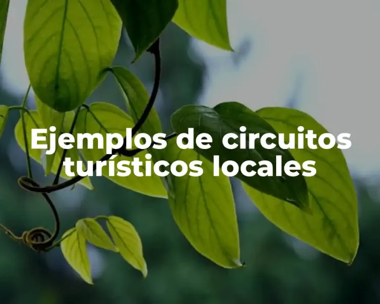 Ejemplos de circuitos turísticos locales