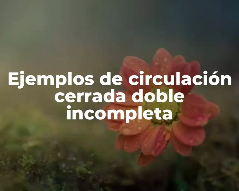 Ejemplos de circulación cerrada doble incompleta
