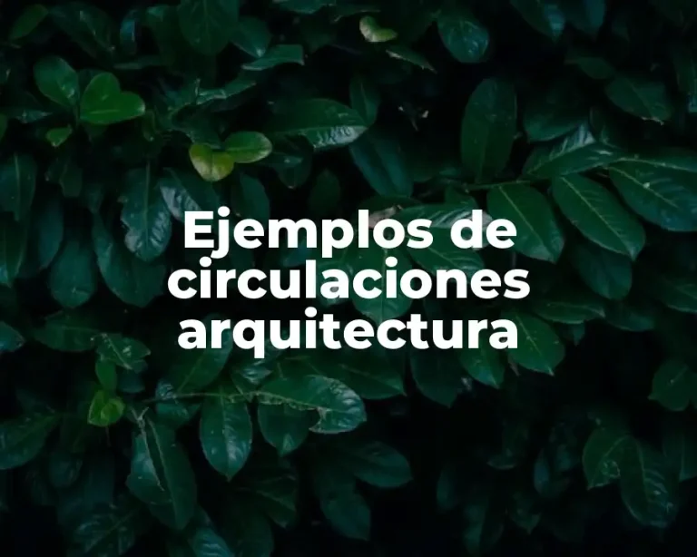 Ejemplos de circulaciones arquitectura