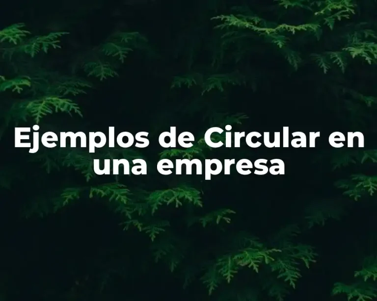 Ejemplos de Circular en una empresa