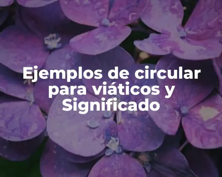 Ejemplos de circular para viáticos y Significado
