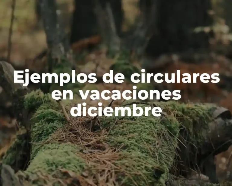 Ejemplos de circulares en vacaciones diciembre
