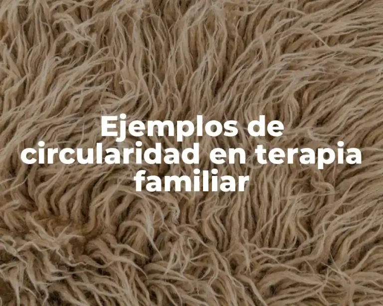 Ejemplos de circularidad en terapia familiar